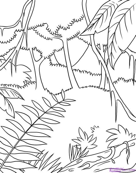 Jungle Coloring Sheets Coloring Page Jungle Scene Coloring Page