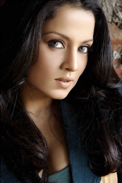 World Celebrity Wallpapers Celina Jaitley Hot Sexy Pictues Images Wallpapers