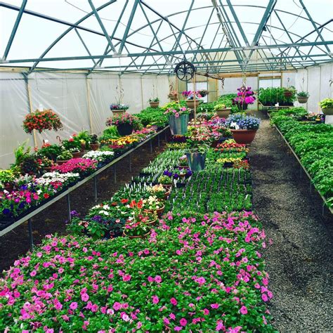 You can see how to get to flowers & more on our website. Flowers, Shrubs, Trees, and More - BP Nursery and Landscape