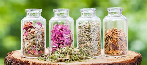 20 Herbal Medicine Terms You Should Know