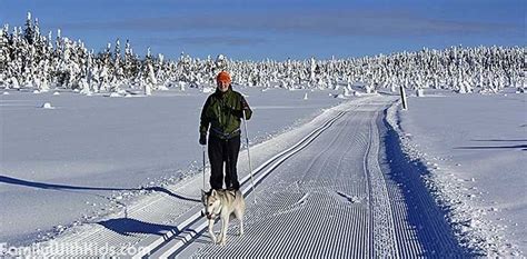 The Syöte National Park Northern Ostrobothnia And Lapland Finland