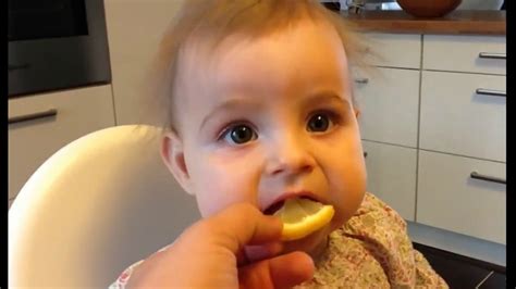 Babies Eating Lemons First Time 2017 L Babies Eating Lemons For First