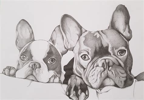 Https://techalive.net/draw/how To Draw A French Bulldog