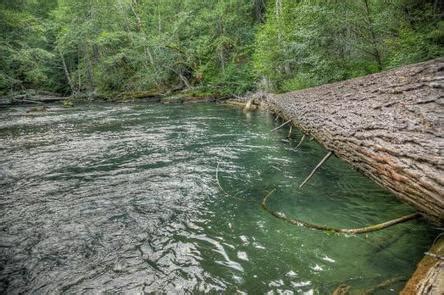 Adams fork campground in gifford pinchot, washington | bound around like a woodland sprite at adams fork campground with your friends in tow! Adams Fork Campground, WA Campground Reservation, Info ...