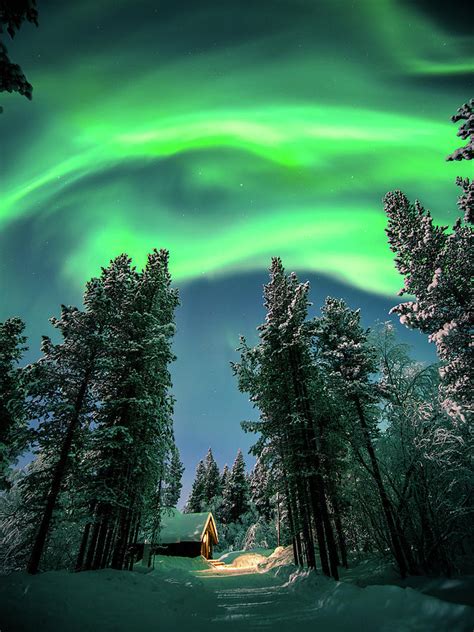 The Northern Lights Ivalo Lapland Travel Photography Photograph By