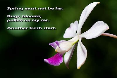 Maybe you would like to learn more about one of these? IcarusPassion: Haiku