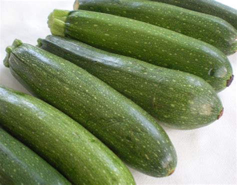How much to charge for a loaf of zucchini bread. A Cook and Her Books: Gad Zukes! It's Time for Zucchini Bread!