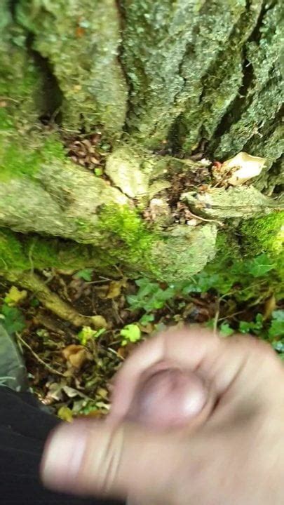 wank and cum in forest xhamster
