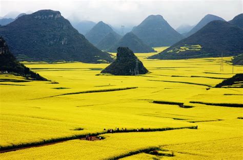 In The Spring The Countryside Of Luoping In Eastern Yunnan China