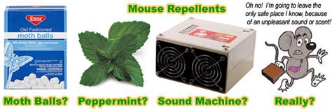 Spray natural repellents along the perimeter. How To Keep Mice Away from Your House, Yard, Garbage, or Shed