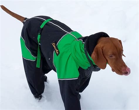Full Body Large Breed Dog Snowsuit With Attached Boots Dog Snowsuit