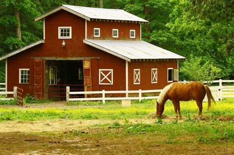 And think about your own. Horse Ranch Business Plan | Pro Business Plans