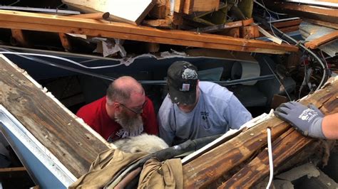 Dog Rescued From Tornado Damaged Home In Alabama Youtube