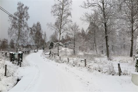 Das dicht bewaldete schweden ist mit einer ausdehnung von 1.600 km von nord nach süd das größte land in skandinavien. Ullstorp Bauernhof Ferienhäuser in der Mittel von Skåne ...