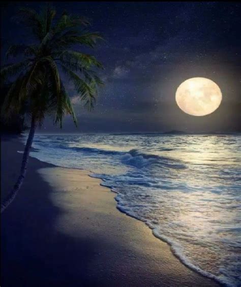 Pin De Renee Spaeth Costlow En Imágenes Hermosas Playa De Noche