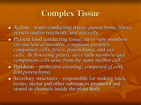 Ppt Plant Tissues Overview Powerpoint Presentation Free Download