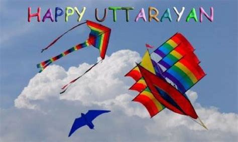 Uttarayan The Vibrancy Of Enjoying The Popular Kite Flying Festival