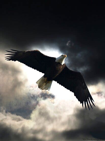 Soaring Eagle In Stormy Skies Posters By Natureprints Redbubble
