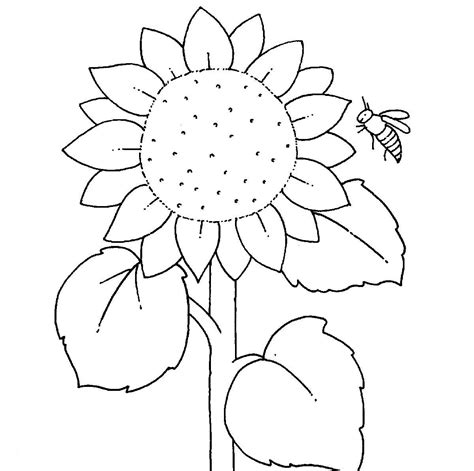 30 sonnenblume basteln vorlage brontepublicschool com. Ausmalbilder Sonnenblume Elegant Kostenlose Malvorlage ...