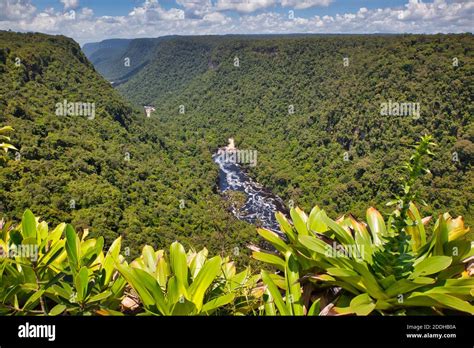 A Huge Area Of Jungle And Rainforest In A Ravine Downstream From