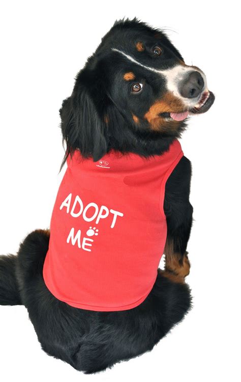 Ruff Ruff and Meow Dog Tank Top Adopt Me Red ExtraLarge ...