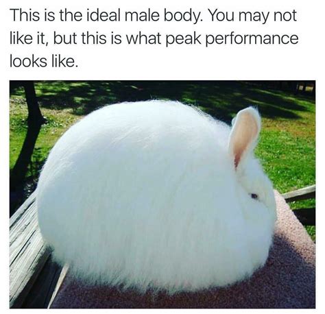 The Ideal Floof Body This Is The Ideal Male Body Know Your Meme