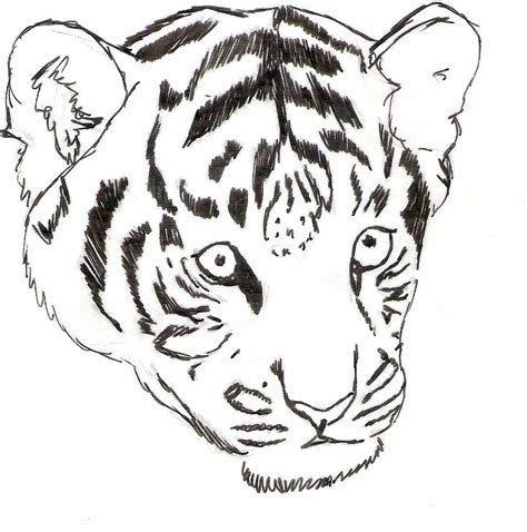 Come Disegnare Una Tigre In Pastello Foto Tutorial Di Pittura Facile