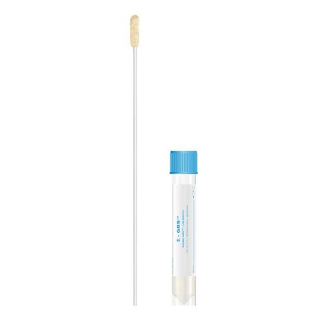 Streptococcus B Swab Sigma Gbs™ Medical Wire And Equipment Co Vaginal Anal With