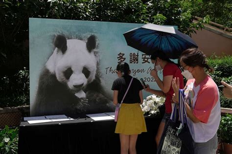 Worlds Oldest Giant Panda In Captivity Dies At 35 Abc News
