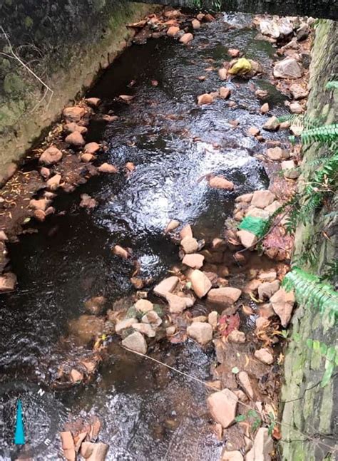 Pencemaran sungai yang sering berlaku terus mengundang resah dan bosan rakyat yang mahu tindakan lebih konkrit diambil kerana 90 peratus sumber air mentah negara ini diambil dari air sungai atau air permukaan. IWK nafi punca pencemaran air hitam - Utusan Digital