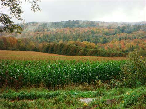 Peacham Vermont Farm New England