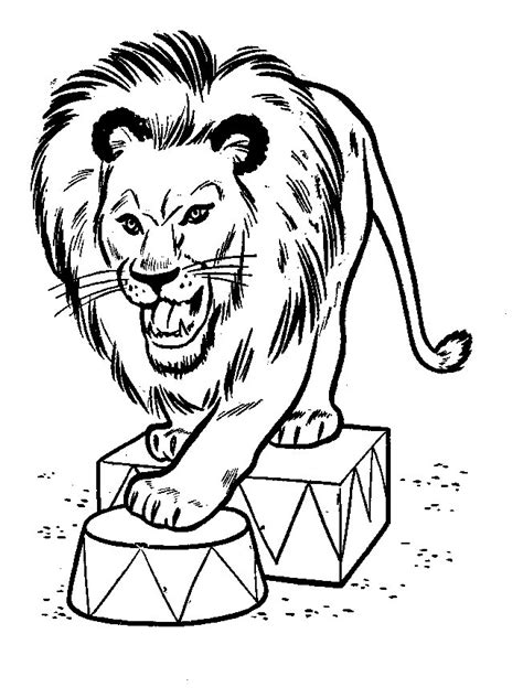 Lion is a powerfully built cat and a large mammal of the felidae family. Lion Coloring Pages - Coloringpages1001.com