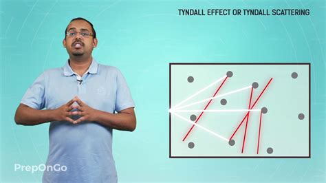 We know that atmosphere is a mixture of several gases, dust particles, smoke, water particles etc. Human Eye and Colourful World - 7 | Tyndall Effect | Why ...