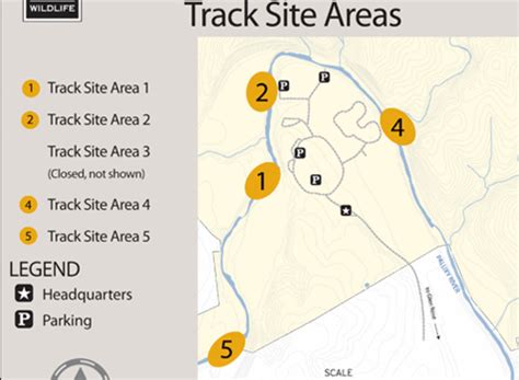 Maybe you would like to learn more about one of these? Dinosaur Valley State Park