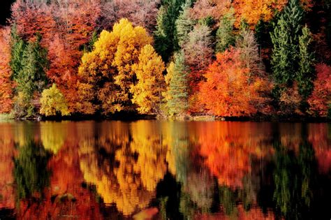 28 Autumn Wallpaper Musim Gugur Hd Untuk Desktop