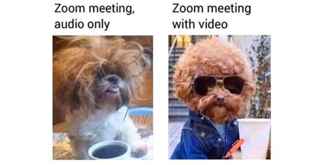 Here are just 17 of the best wfh memes on the internet that pretty much summarise how we're all feeling right now. Best Work From Home Memes To Share With Friends & Co-Workers