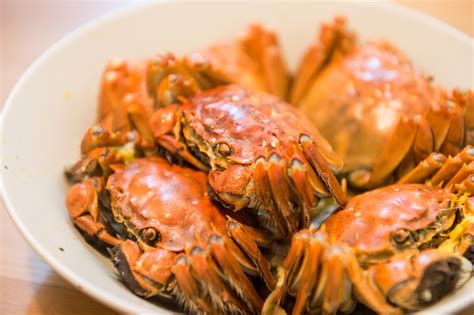Ways To Join The Hairy Crab Craze In Shanghai