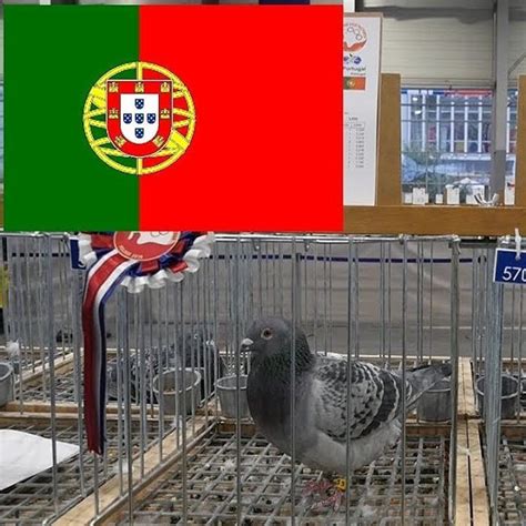 Selekcjoner mistrzów europy, fernando santos. Representation of Portugal // Reprezentacja Portugalii # ...