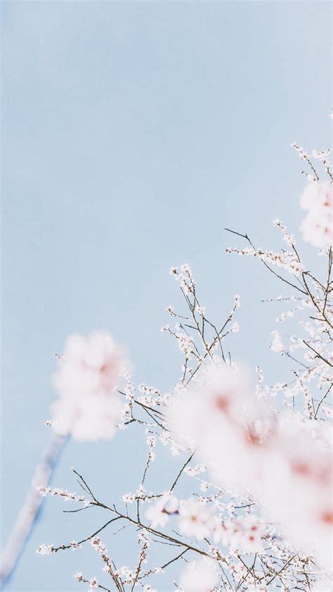 Aesthetic Pastel Wallpapers - Wallpaper Cave Pastel pink wallpapers for free download.