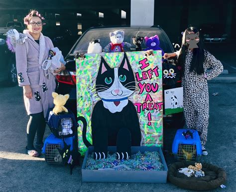 The Crazy Cat Lady Trunk Or Treat Trunk Or Treat Truck Or Treat