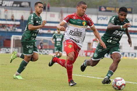 Brusque X Guarani Como Assistir à Estreia Do Marreco Na Série B 2022