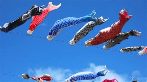 A japanese craftsman is making carp streamers called koinobori (こいのぼり), in preparation for tango no sekku (端午の節句) aka children's day aka may 5thiest aka today so… happy kids day man!!!~~~~ 端午の節句：こどもの日 - YouTube