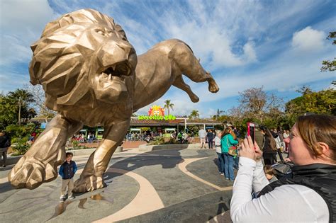 ‘roaring Back San Diego Zoo To Reopen Later This Month Fox 5 San Diego