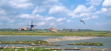 Tripadvisor has 2,115 reviews of nederland hotels, attractions, and restaurants making it your best nederland resource. Deltaplan voor biodiversiteit in Nederland: samen ...