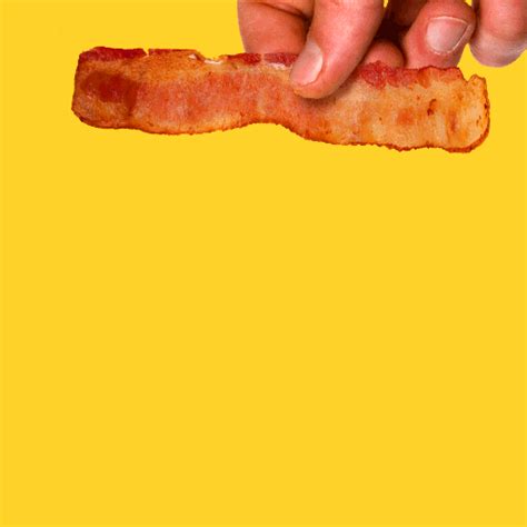 House Of Cards Bacon  By Justin Gammon Find And Share On Giphy