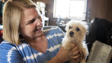 How do money orders work? New Beginnings raises money for animal rescue efforts ...