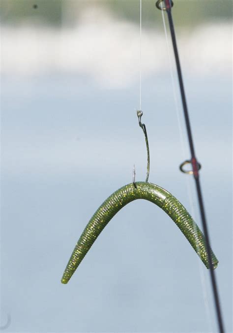 Special Plastic Worm Rig Is A Bass Catching Bit Of Magic And Not So
