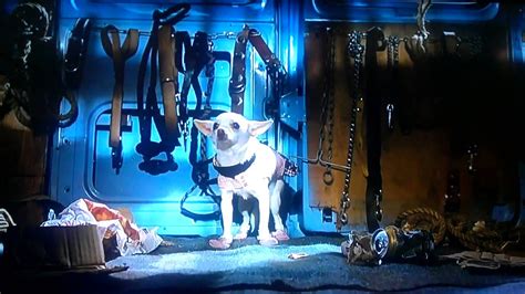 Beverly Hills Chihuahua Disney Channel Preview Youtube
