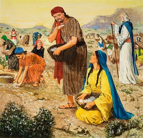Manna From Heaven Historical Articles And Illustrationshistorical
