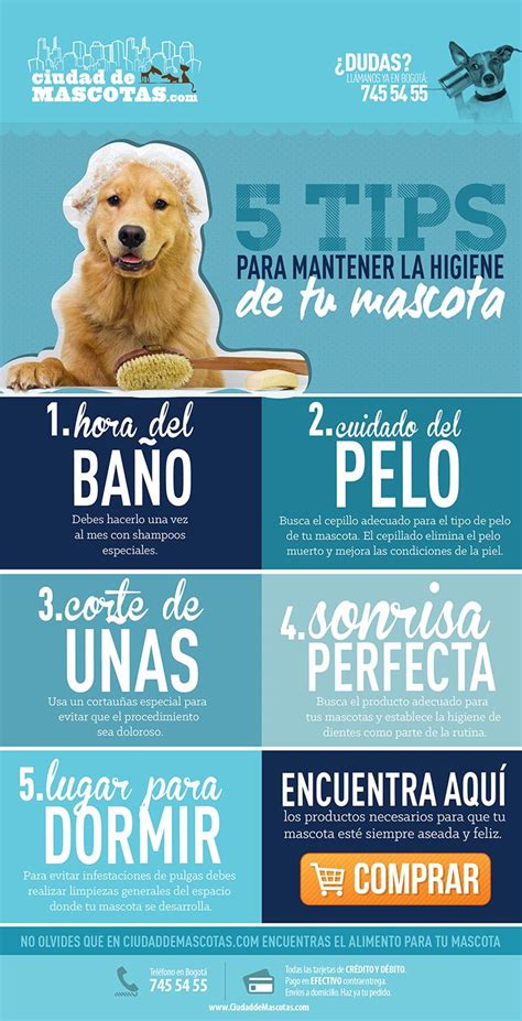 Higiene Para Perros Perros Mascotas Consejos